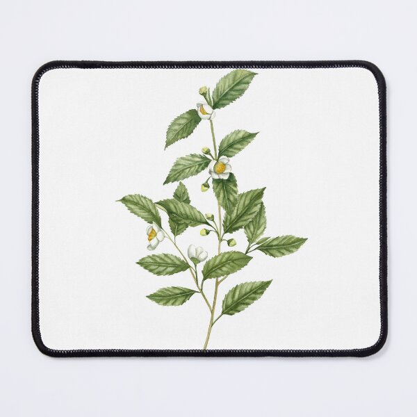 Item preview, Watercolor tea plant artwork designed and sold by InnaPatiutko.