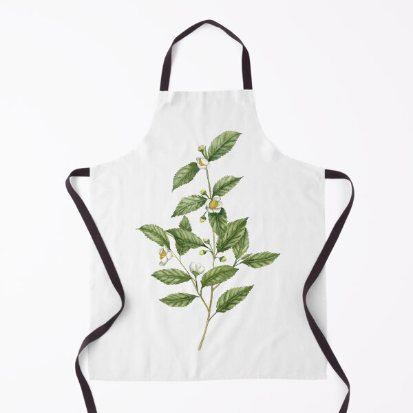 Item preview, Watercolor tea plant artwork designed and sold by InnaPatiutko.