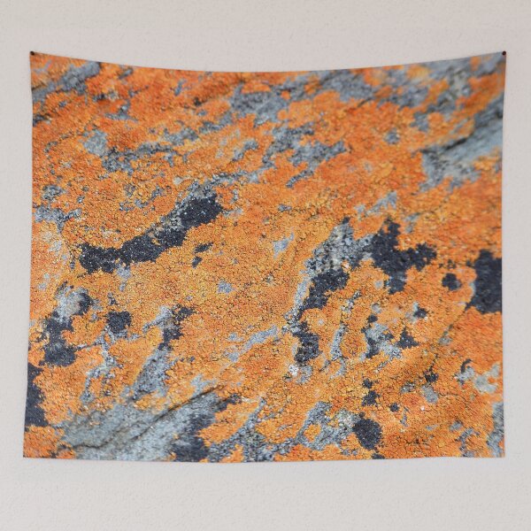Item preview, Orange and Grey Lichen on Granite designed and sold by Jenie Yolland.
