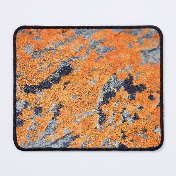 Item preview, Orange and Grey Lichen on Granite designed and sold by Jenie Yolland.