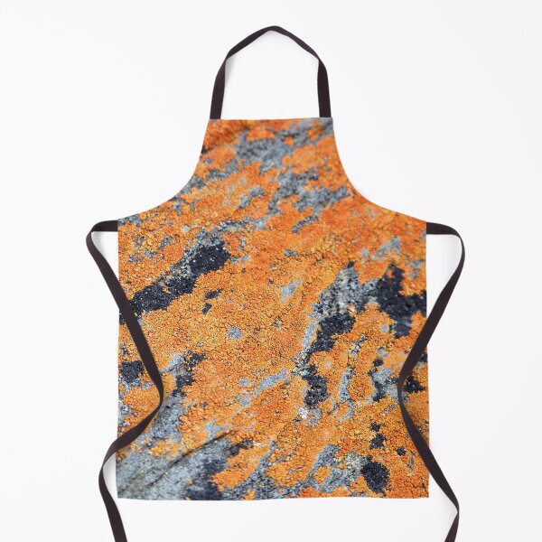 Item preview, Orange and Grey Lichen on Granite designed and sold by Jenie Yolland.