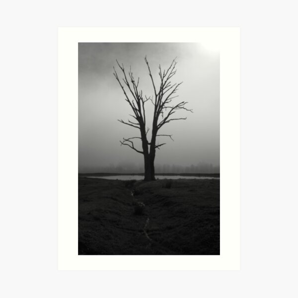 Foggy Morning Art Print