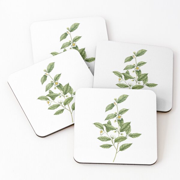 Item preview, Watercolor tea plant artwork designed and sold by InnaPatiutko.