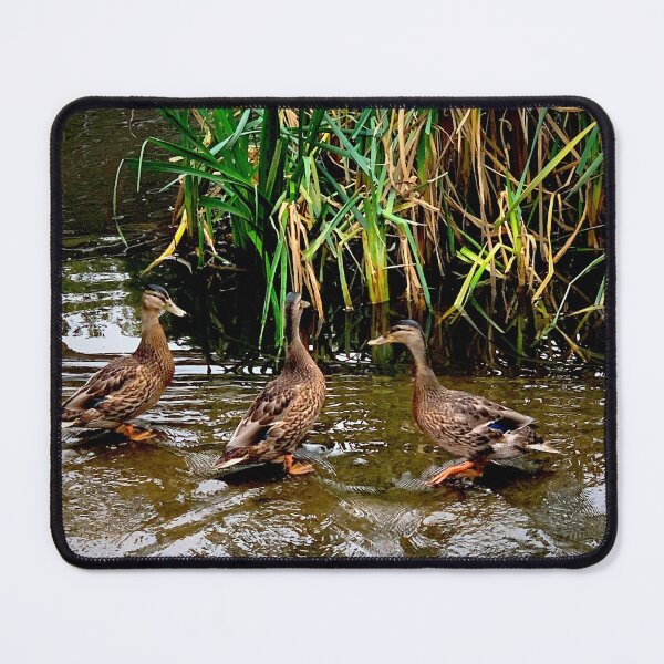 Item preview, Happy Ducks designed and sold by KVIRGO.