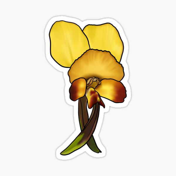 Item preview,  Winter Donkey Orchid  designed and sold by JoWillmot.