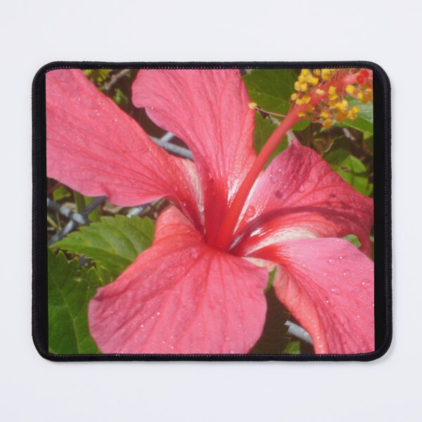 Item preview, Hot Pink Hibiscus designed and sold by KazM.