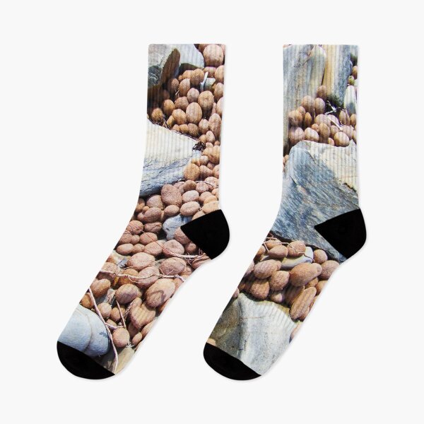 Item preview, At The Beach Seaballs and SeaRocks designed and sold by Jenie Yolland.