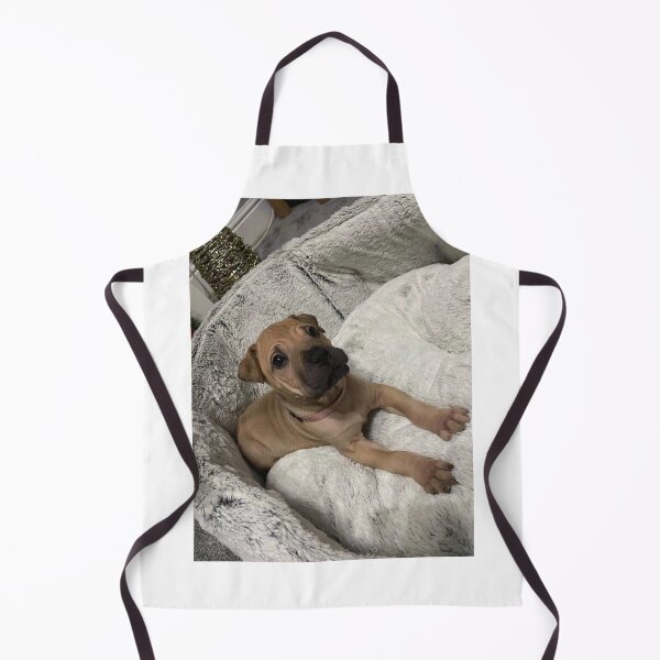 Item preview, Prinny designed and sold by KVIRGO.