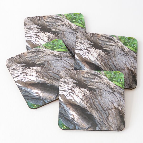 Item preview, Beach Holiday Tea Tree Bark  designed and sold by Jenie Yolland.