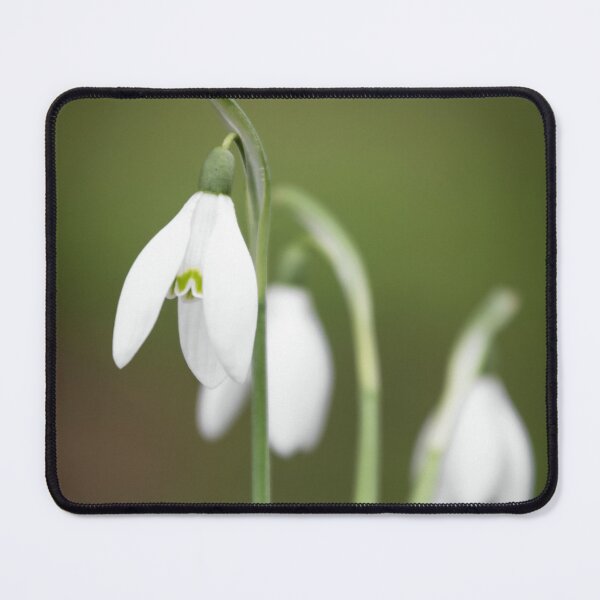 Item preview, Snowdrop designed and sold by JEZ22.