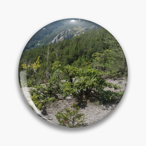 Item preview, Life on Bare Rock - Resilient Trees Growing on a Stony Mountaintop designed and sold by Georgia Mizuleva.