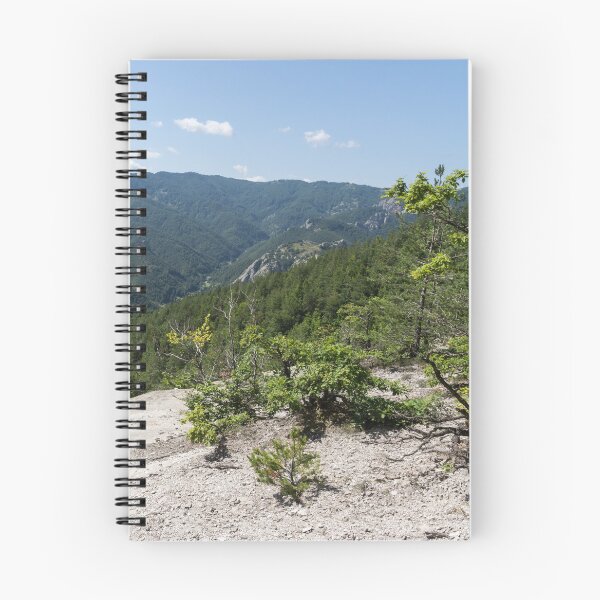 Item preview, Life on Bare Rock - Resilient Trees Growing on a Stony Mountaintop designed and sold by Georgia Mizuleva.