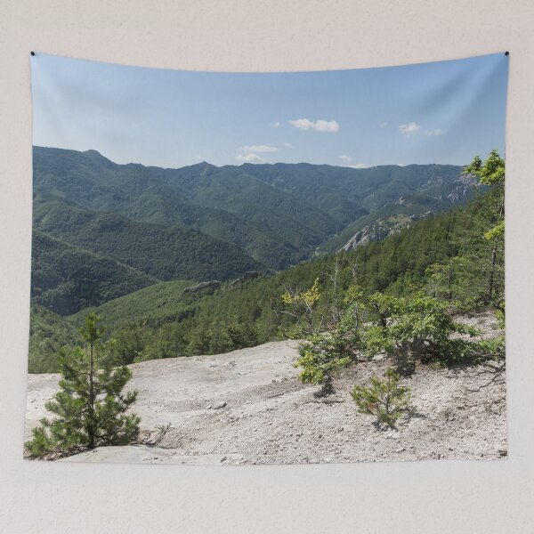 Item preview, Life on Bare Rock - Resilient Trees Growing on a Stony Mountaintop designed and sold by Georgia Mizuleva.