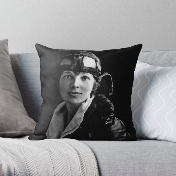 Airplane Print Throw Pillow - Amelia Aviation