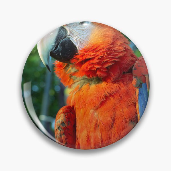 Item preview, Red Macaw Bird designed and sold by likbatonboot.
