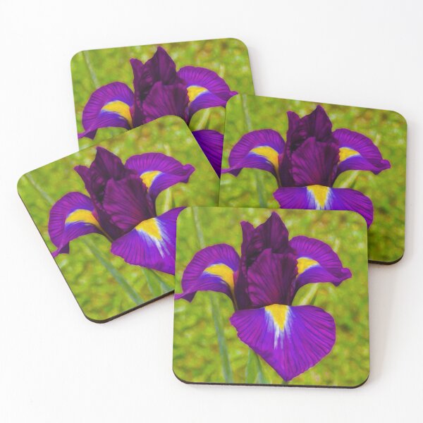 Item preview, Flor 2 designed and sold by Guardi71.