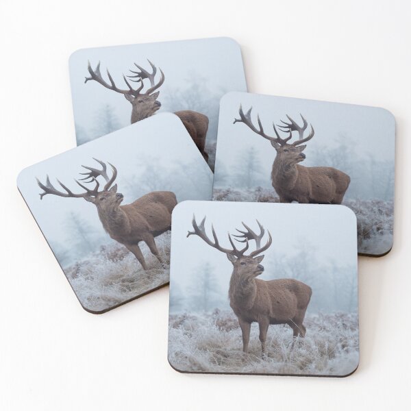 Item preview, Monarch in a field of white designed and sold by Junkyardmax.