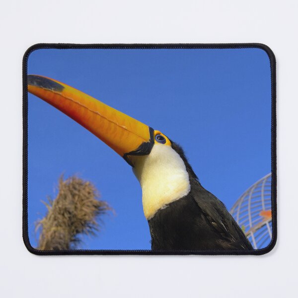 Item preview, Hornbill designed and sold by likbatonboot.