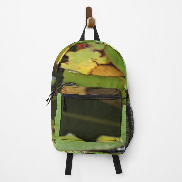 Item preview, Green frog in pond designed and sold by Chloé Yzoard.