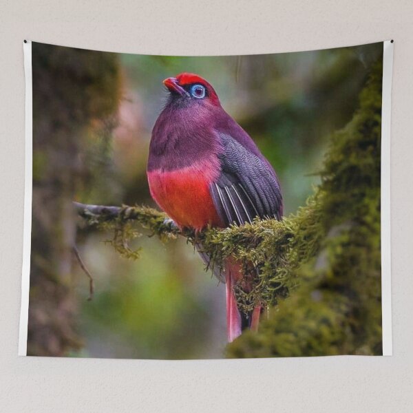 Item preview, pink finch designed and sold by ritusdesigns.