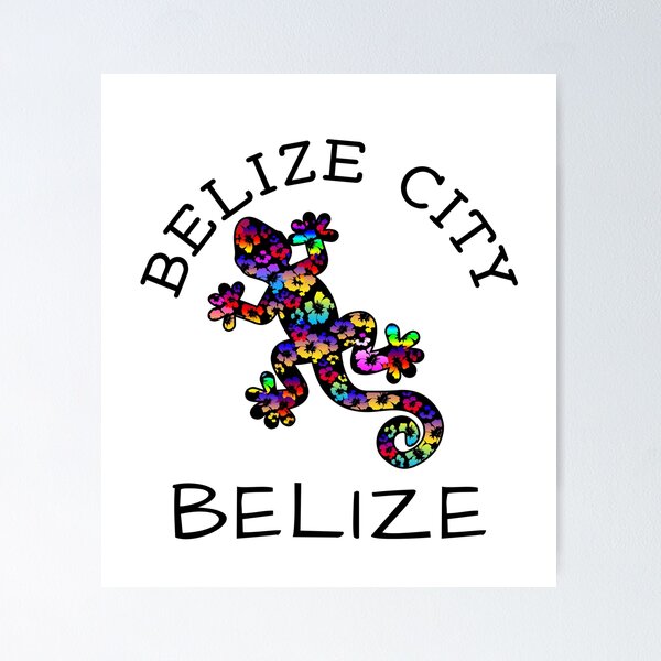 Item preview, CIUDAD DE BELICE CIUDAD DE BELIZA LAGAR TROPICAL HIBISCO MAR DEL CARIBE VIAJES designed and sold by DESTINATIONS DECAL.
