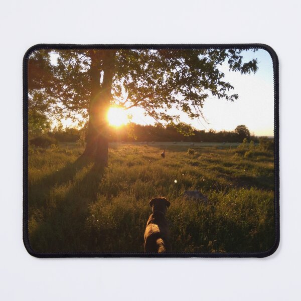 Item preview, Summer Sunset designed and sold by NorthernNotes.