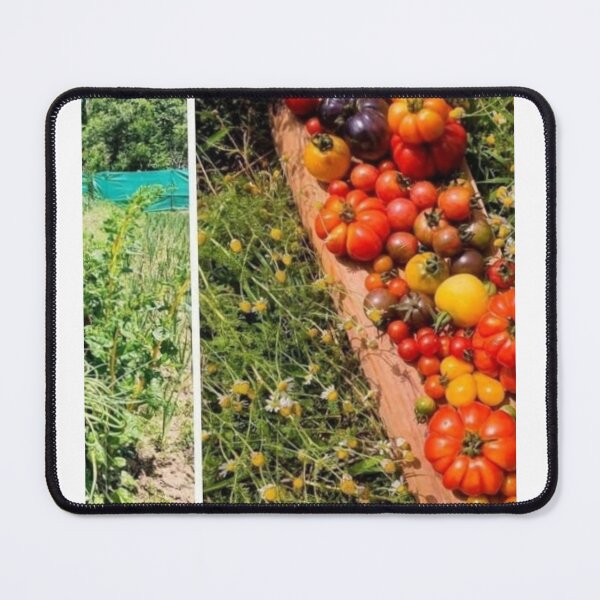 Item preview, Vegetables designed and sold by Saiamrita123.