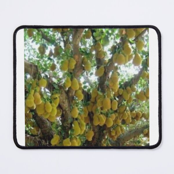 Item preview, Jackfruit designed and sold by Saiamrita123.