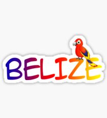 BELIZE TROPICAL PARROT CARIBBEAN SEA TRAVEL OCEAN BEACH VACATION Sticker