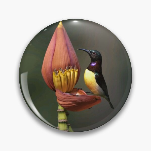 Item preview, purple necked humming bird designed and sold by ritusdesigns.
