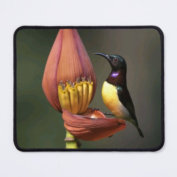Item preview, purple necked humming bird designed and sold by ritusdesigns.