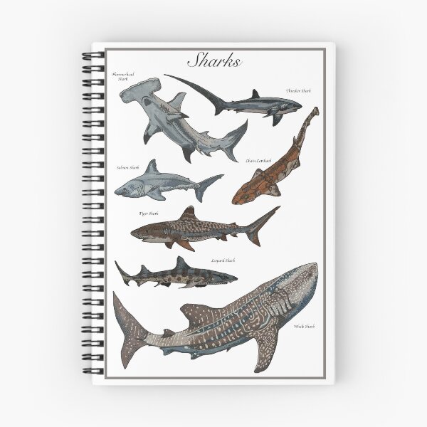 Item preview, Sharks designed and sold by Superb Beefalo.
