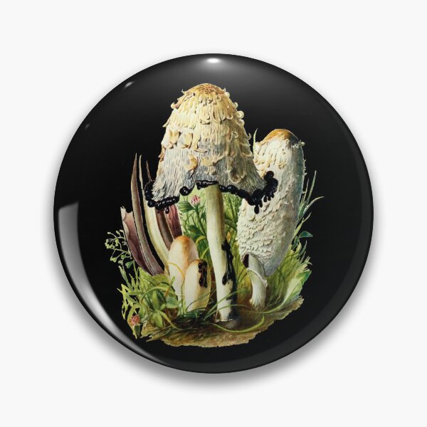 Item preview, Shaggy Mane Mushroom Coprinus comatus    designed and sold by JBmarket4u.