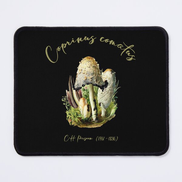 Item preview, Shaggy Mane Mushroom Coprinus comatus designed and sold by JBmarket4u.