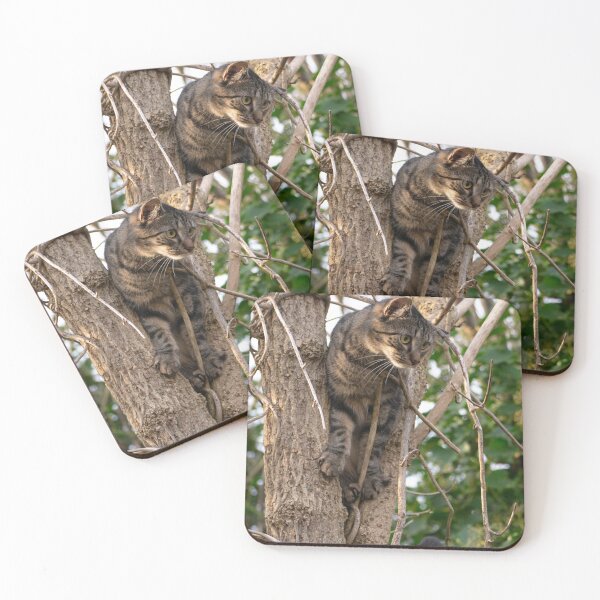 Item preview, Tabby in a Tree. designed and sold by GingerMan2550.