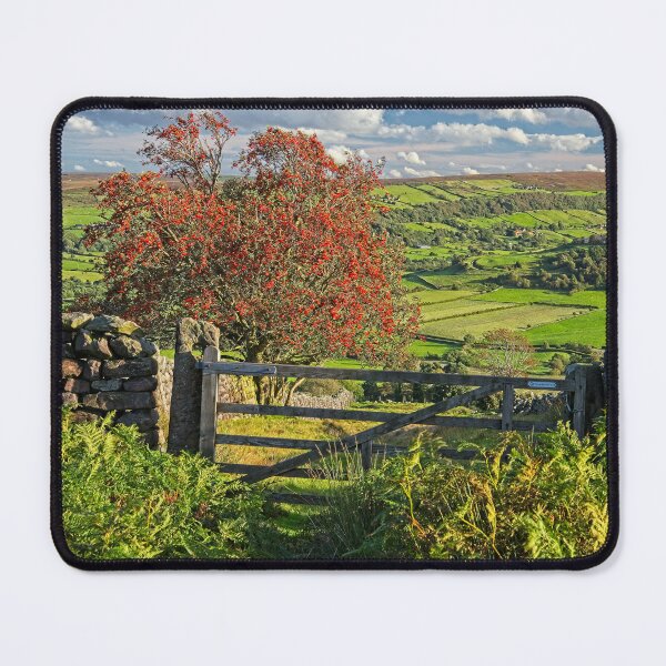 Item preview, Footpath to Glaisdale on the North York Moors designed and sold by Martyn R Arnold Fine Art Nature & Landscape Photography.