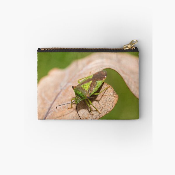Item preview, Hawthorn Shieldbug on Dead Leaf designed and sold by Ashley Crombet-Beolens.