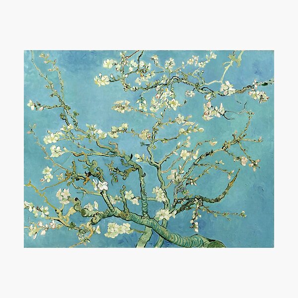Almond Blossom by Van Gogh Photographic Print