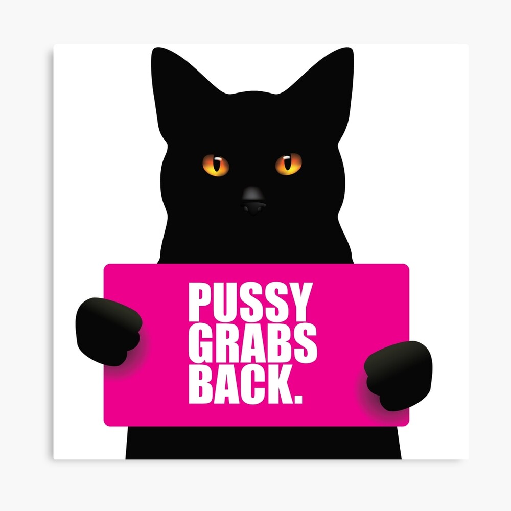 Black cat holding sign that says pussy grabs back. Symbol of female  solidarity