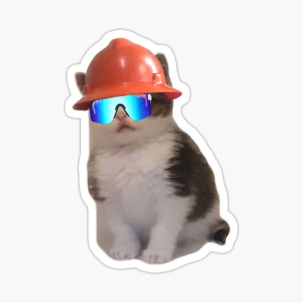 Catwithhardhat Shop | Redbubble