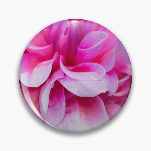 Item preview, Dahlia at Chatsworth designed and sold by AMoncurPhoto.