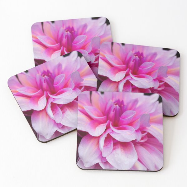 Item preview, Dahlia at Chatsworth designed and sold by AMoncurPhoto.