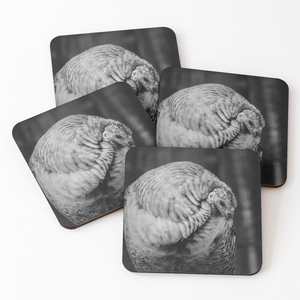 Item preview, Coasters (Set of 4) designed and sold by R-York.