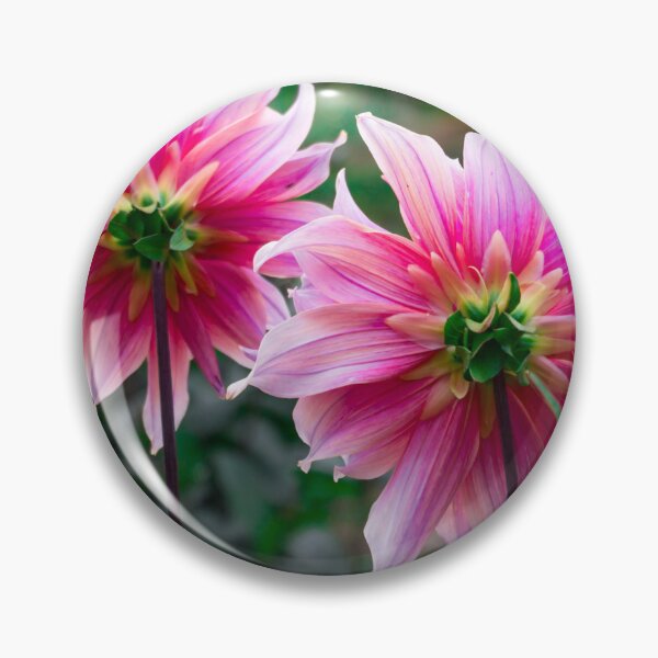 Item preview, A Dahlia Pair designed and sold by AMoncurPhoto.