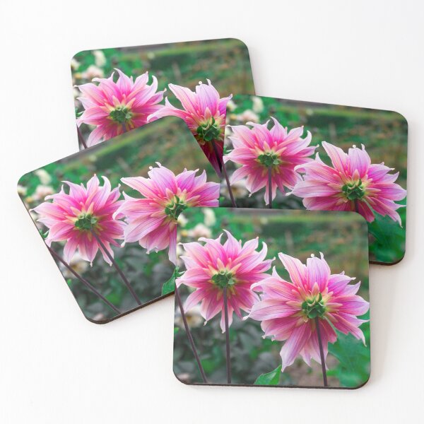 Item preview, A Dahlia Pair designed and sold by AMoncurPhoto.