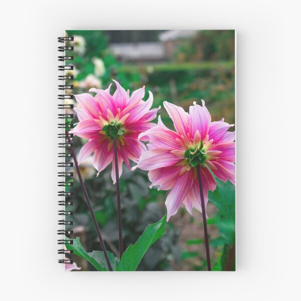 Item preview, A Dahlia Pair designed and sold by AMoncurPhoto.
