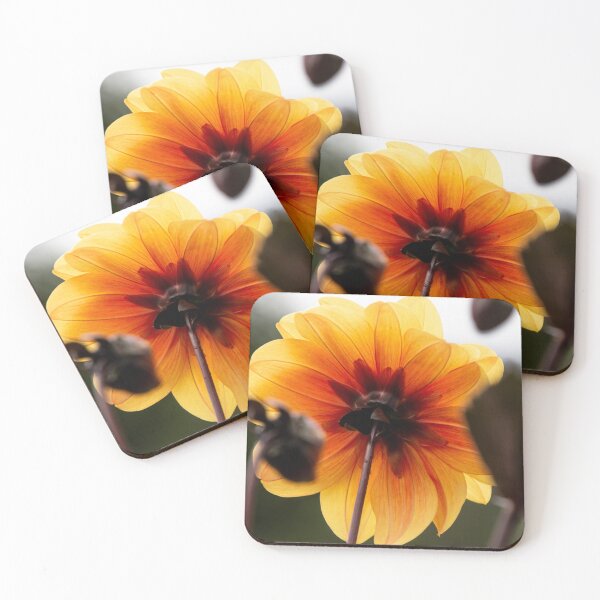 Item preview, Dahlia Centre Stage  designed and sold by AMoncurPhoto.