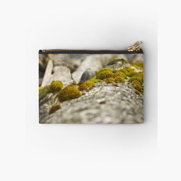 Item preview, Beachwood Photography Print designed and sold by griffingphoto.