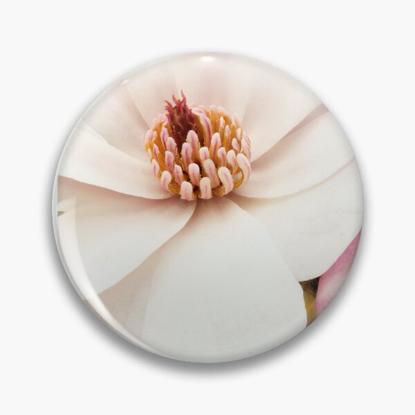 Item preview, Magnolia stellata 01 designed and sold by Weston  Westmoreland.