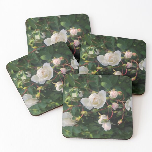 Item preview, White Roses Photographic Print designed and sold by SSymo.